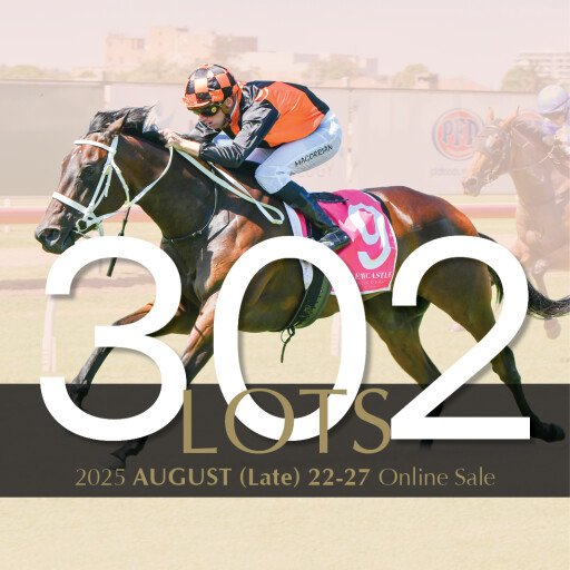 Exclusive opportunity to purchase nomination in Too Darn Hot