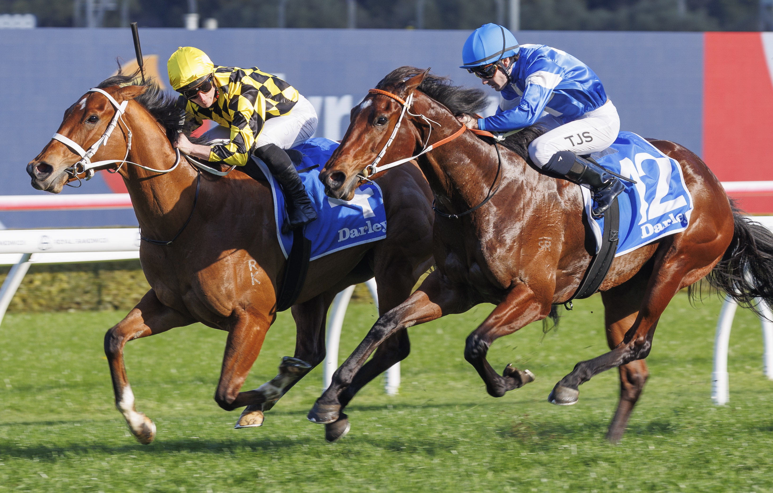 Autumn Glow remains undefeated with stunning return