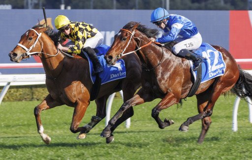 Autumn Glow remains undefeated with stunning return