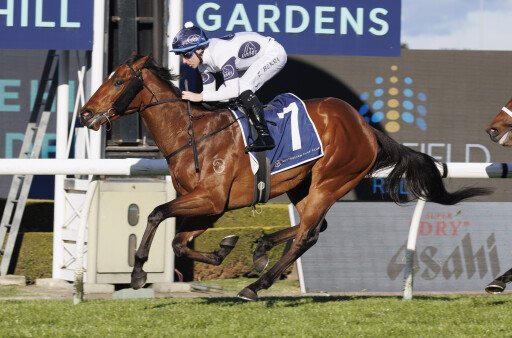 May the Force be with him!