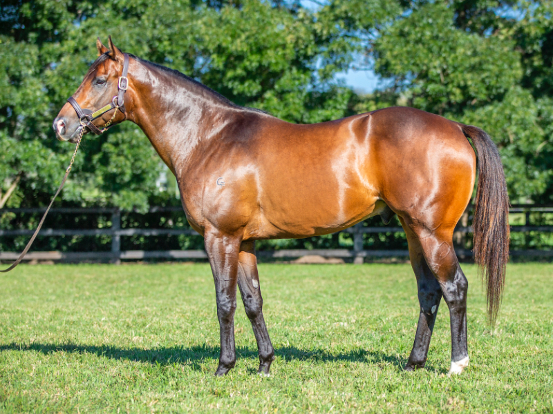 Ole Kirk share headlines strong September (Early) Online Sale