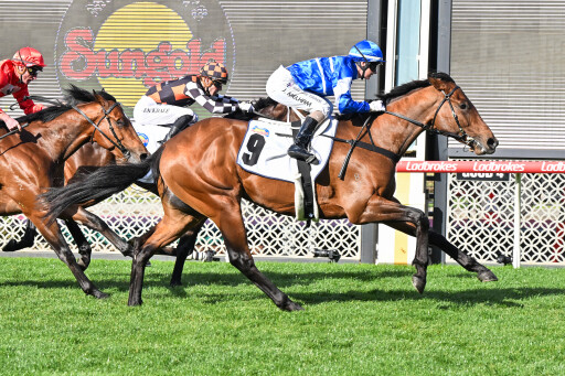 Debutant Rosberg leads the way on big day for Inglis graduates