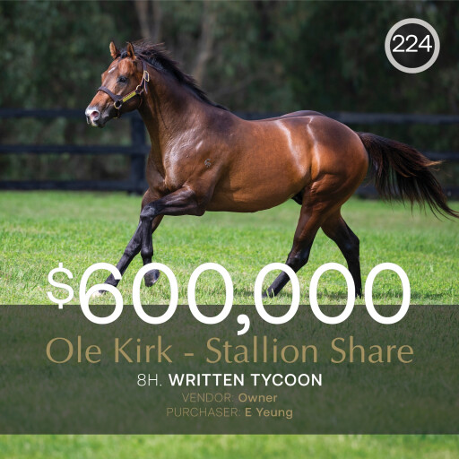 Stallion shares to the fore in September (Early) Online Sale