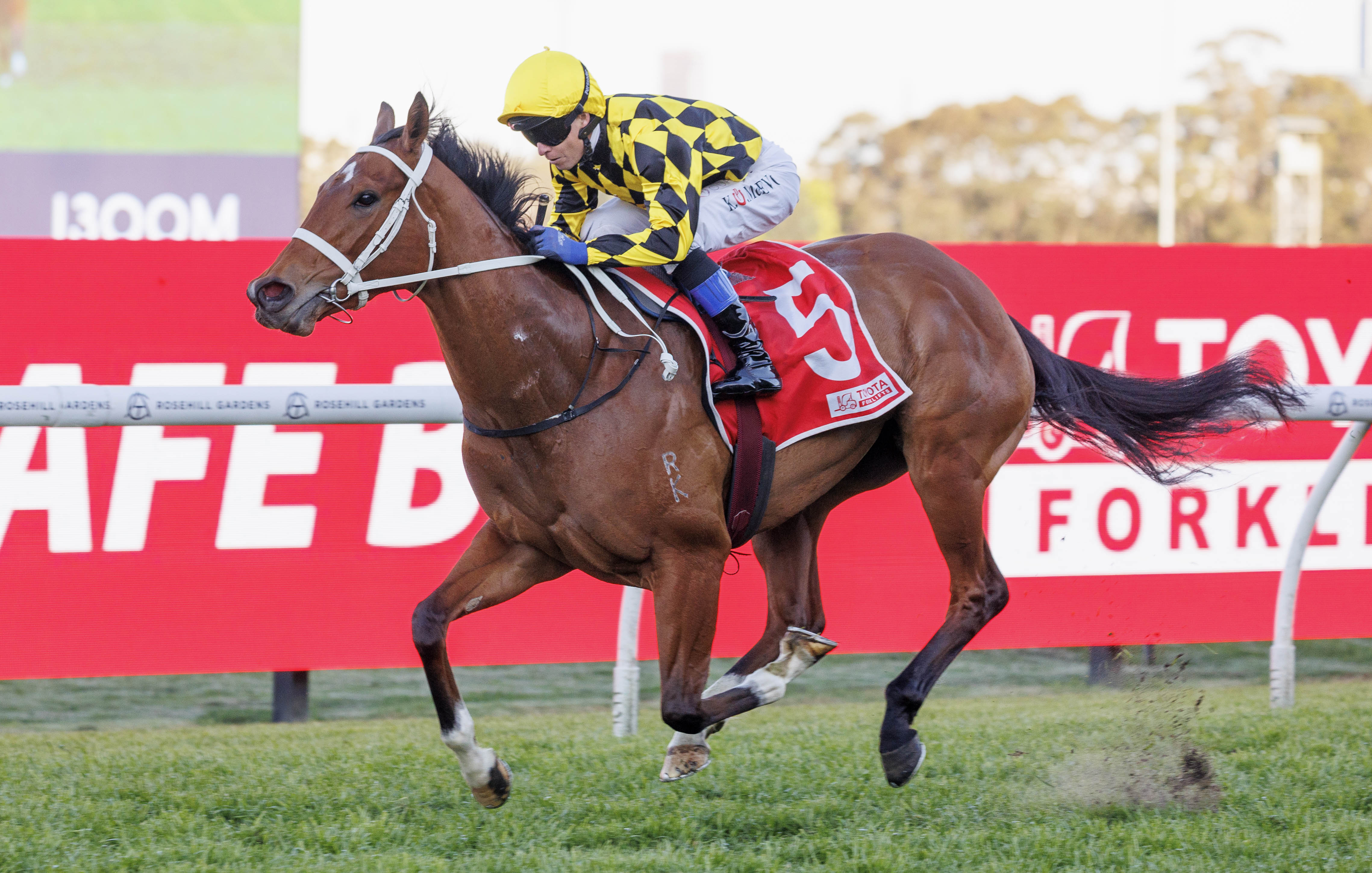 Autumn Glow exquisite again as Inglis grads dominate Rosehill, Flemington