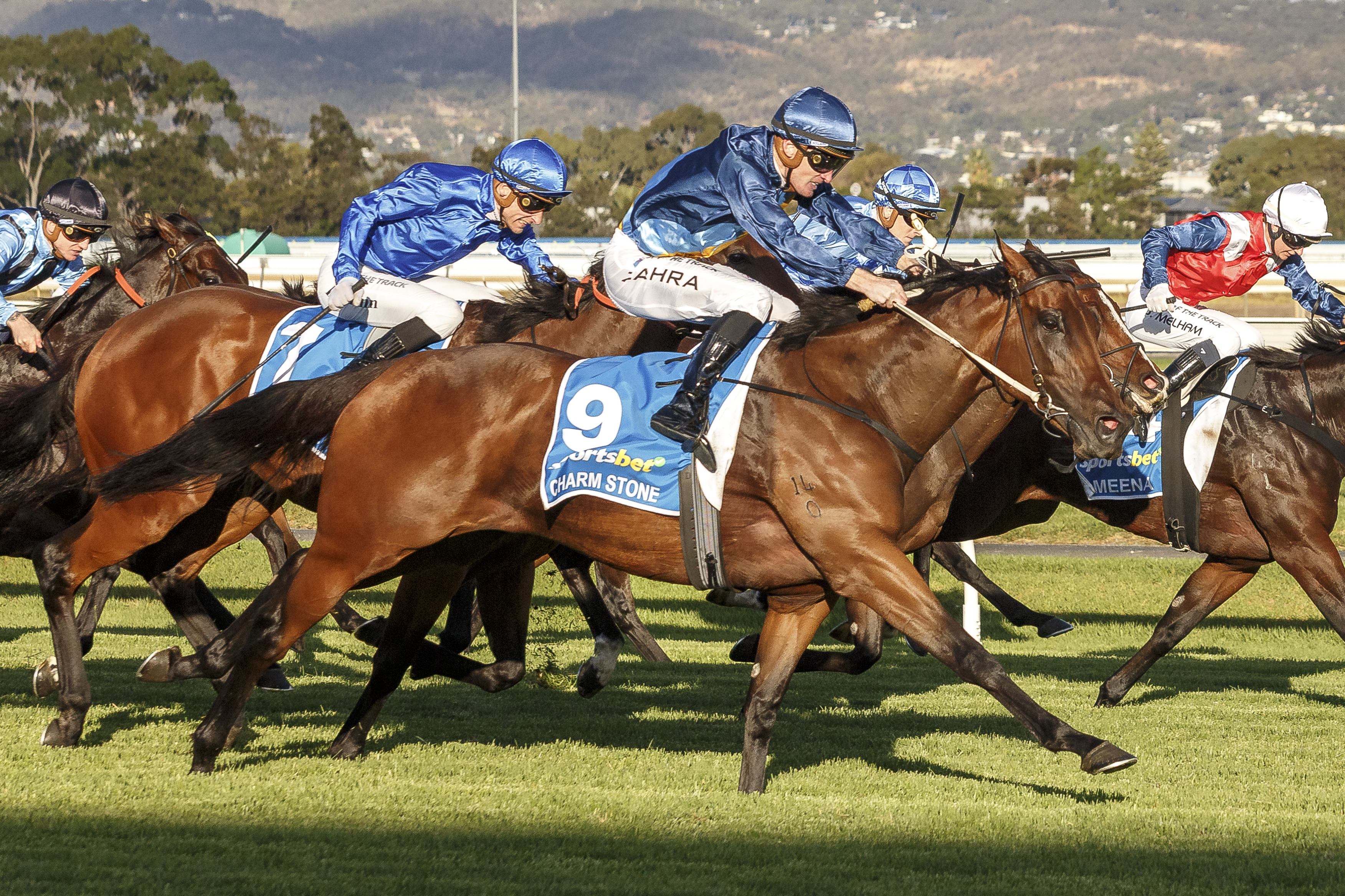 Rare opportunities present in September (Late) Online Sale