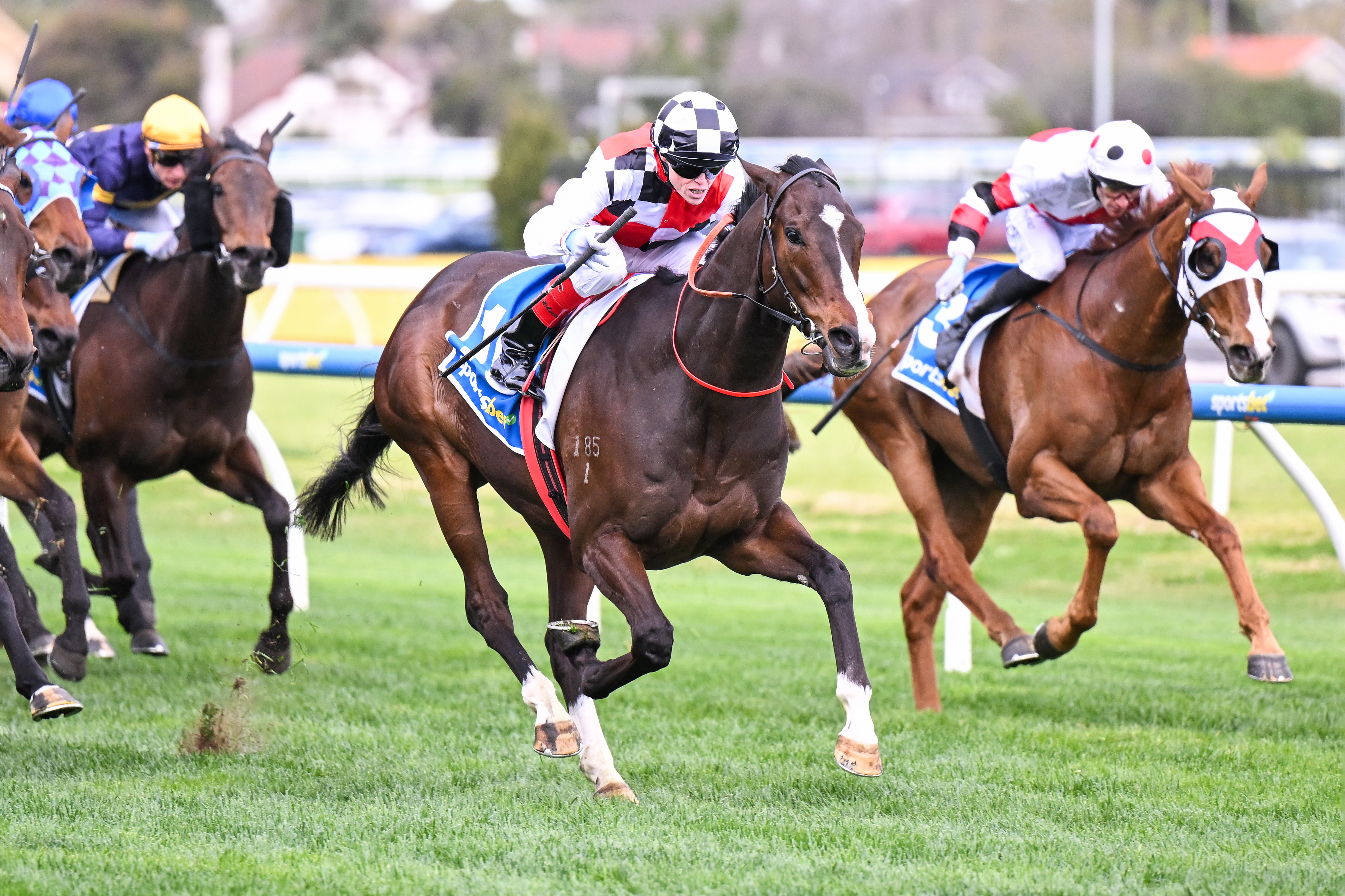 Sepals shines brightest in G1 Sir Rupert Clarke