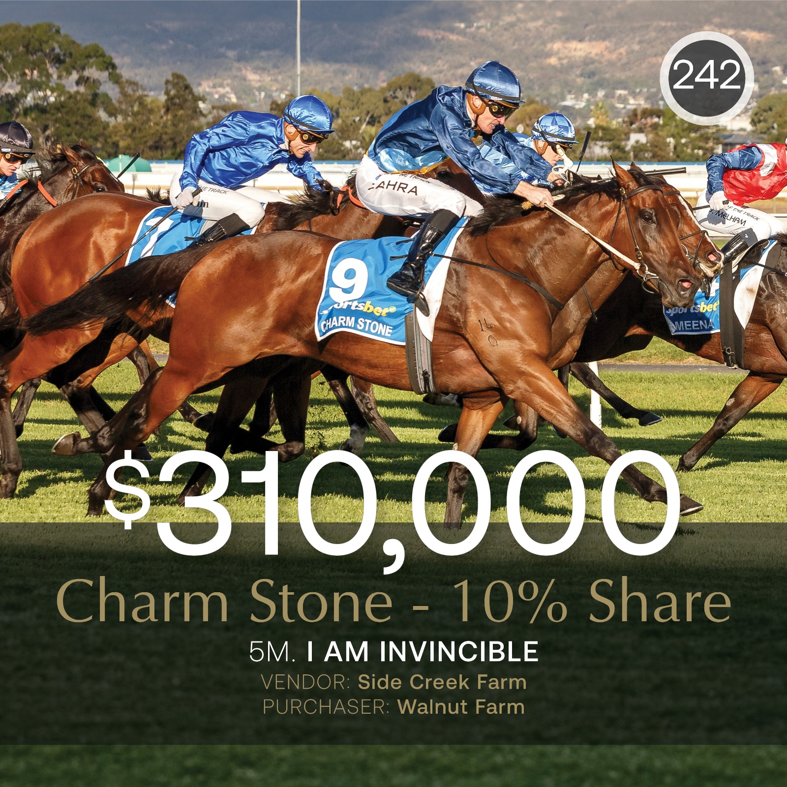 Charm Stone share sells for $310,000 ahead of G1 Manikato