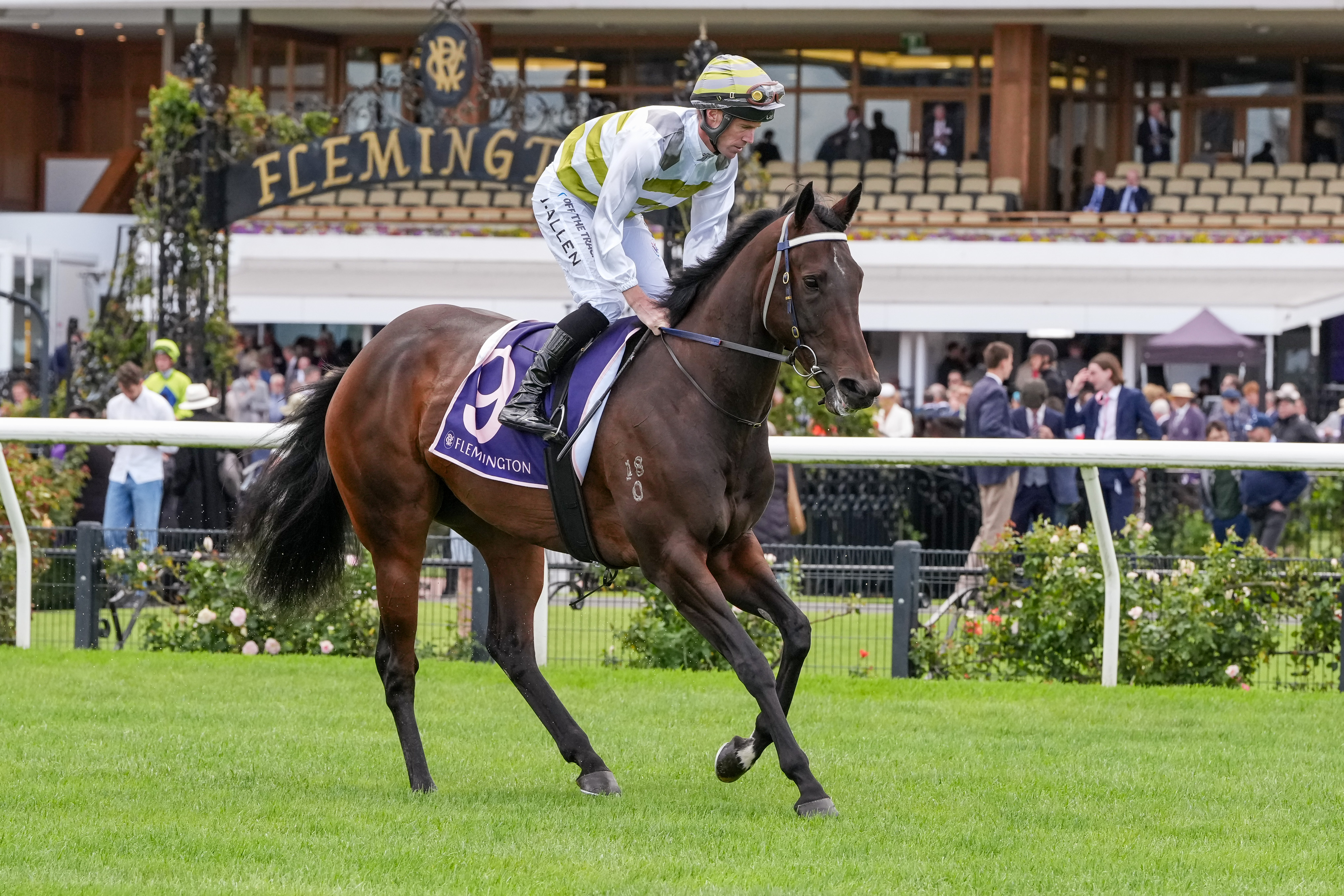 Skybird confirmed for $20m The Everest