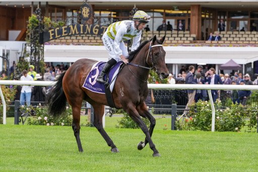 Skybird confirmed for $20m The Everest