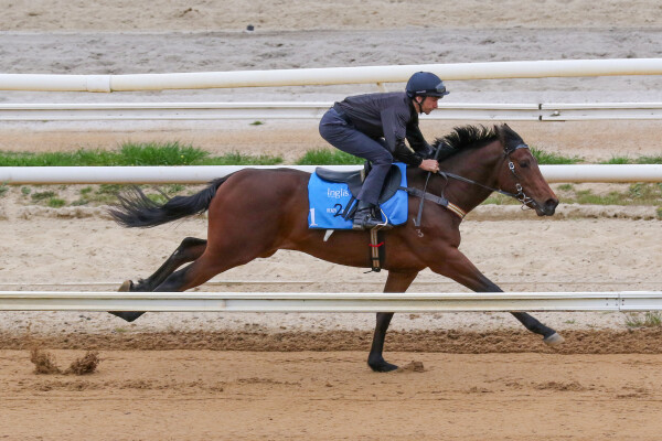 Lot 1: Hellbent / Earp