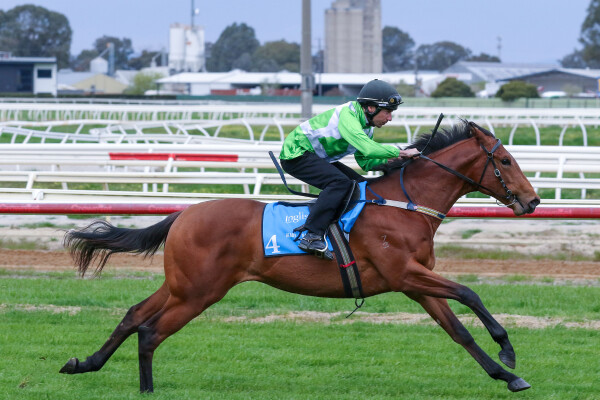 Lot 4: All Too Hard / Echo Melody