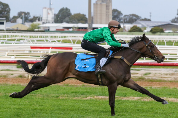 Lot 6: Hanseatic / Electron