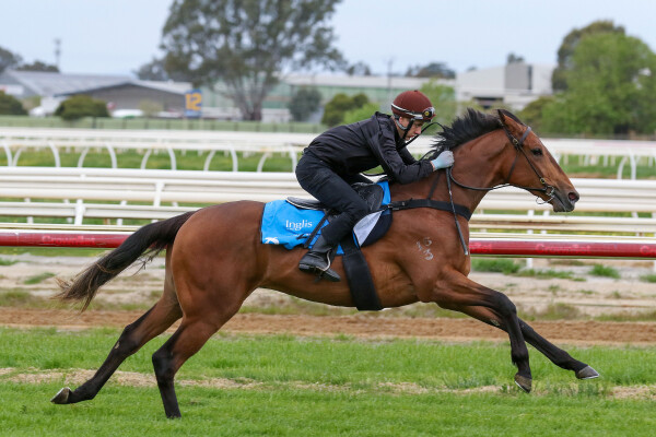 Lot 8: Farnan / Enood