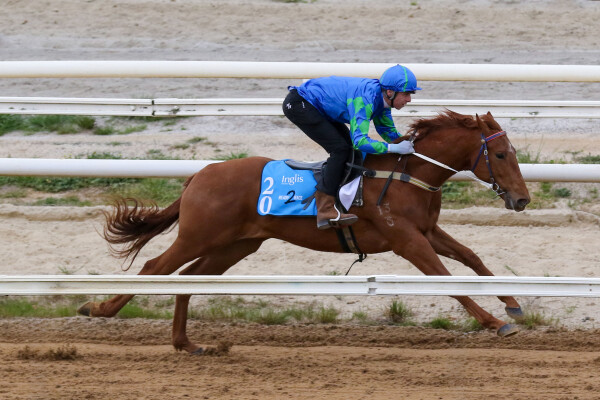 Lot 20: All Too Hard / Front Money