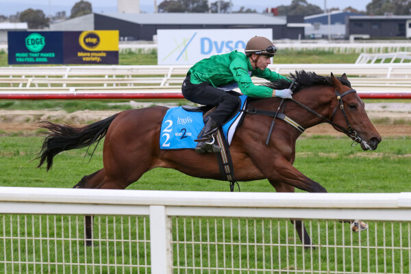 Lot 22: Toronado (IRE) / Gig