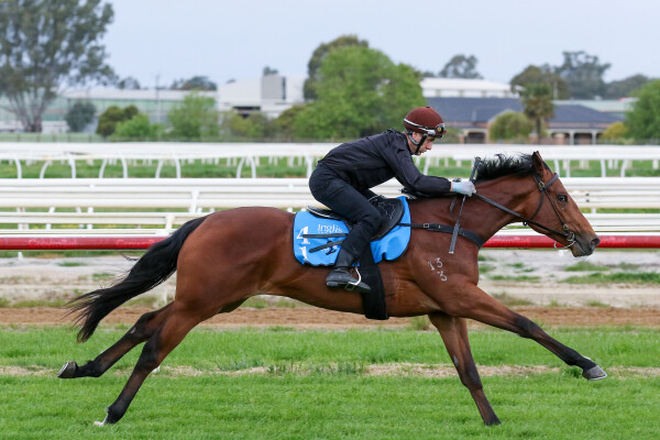 Lot 41: Home Affairs / Ishikari Bay