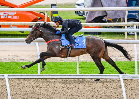 Lot 47: North Pacific / Karaoke Queen