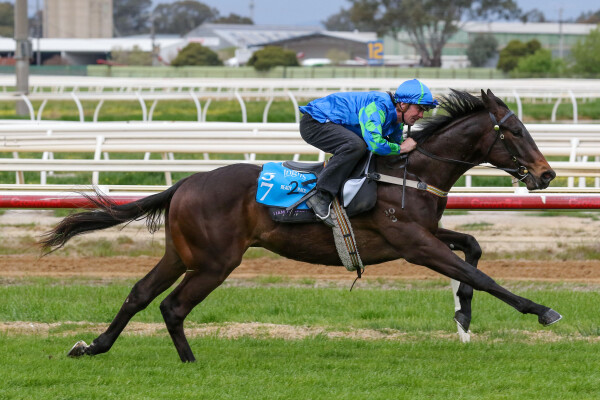 Lot 57: Proisir / Langbein (NZ)