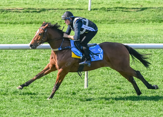 Lot 90: Acrobat / Orontes