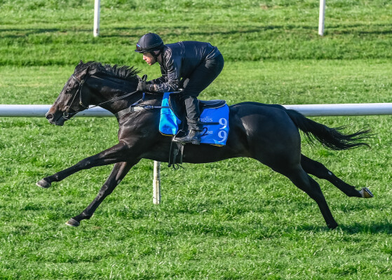 Lot 99: Dirty Work / Pompeia