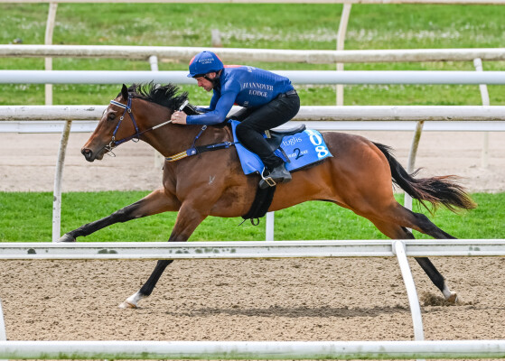 Lot 108: Exceedance / Pussycat Dream (GB)