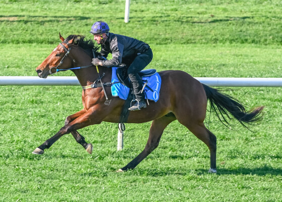 Lot 110: Time to Reign / Readathon