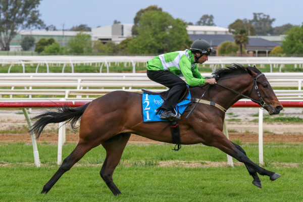 Lot 121: Rubick / Scandimania