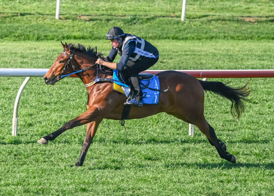 Lot 131: Hellbent / Sleepy Heart