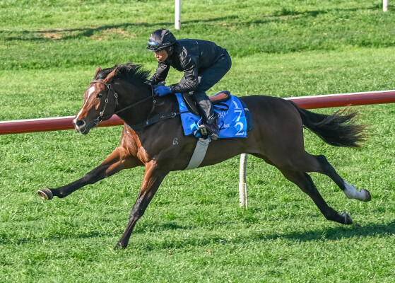 Lot 172: St Mark's Basilica (FR) / Alderney