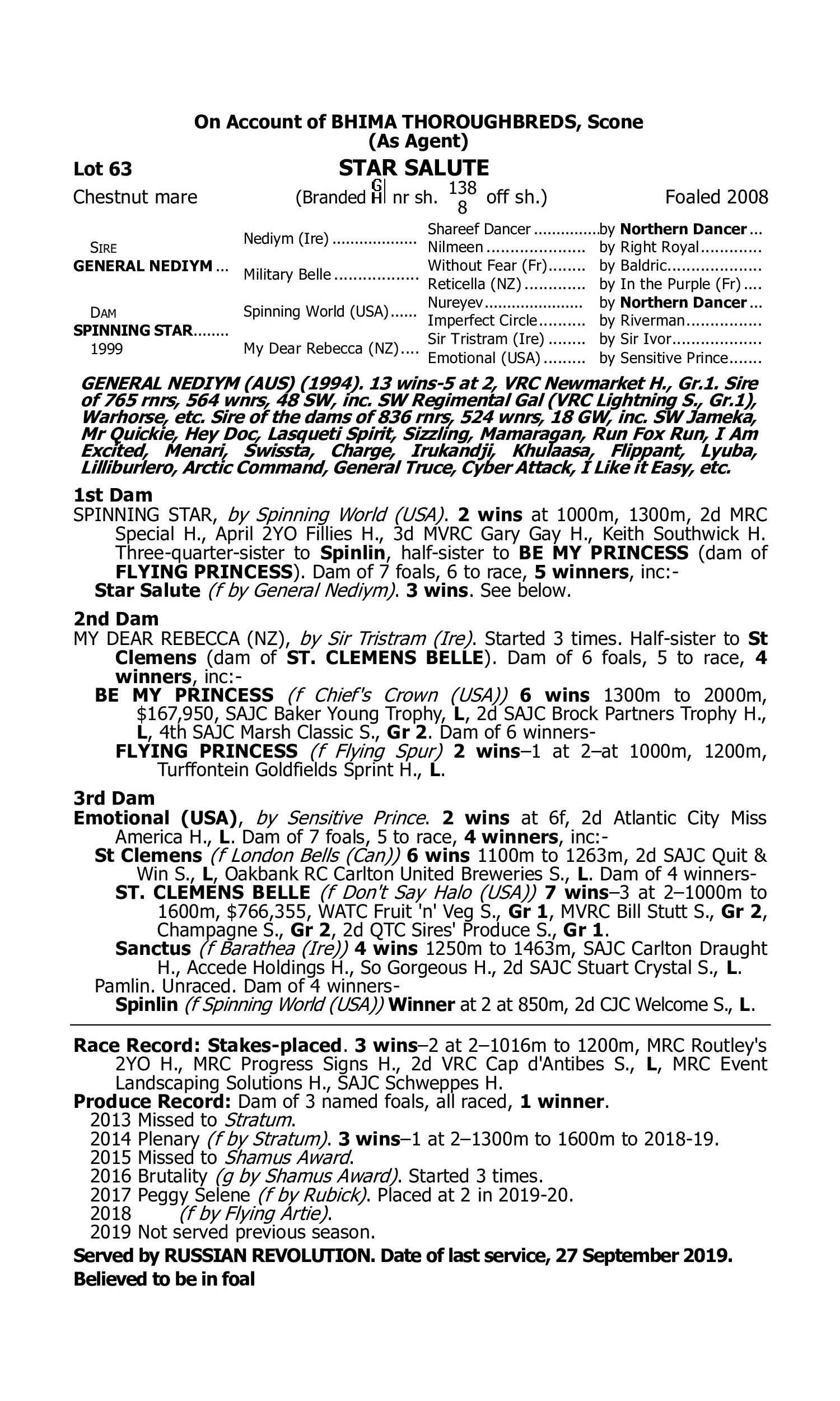 Pedigree for Lot 63 General Nediym - Spinning Star