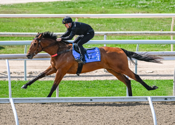 Lot 224: Written By / Valuchy