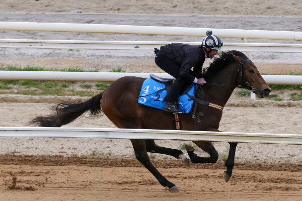 Lot 45: Portland Sky / Jeanneau