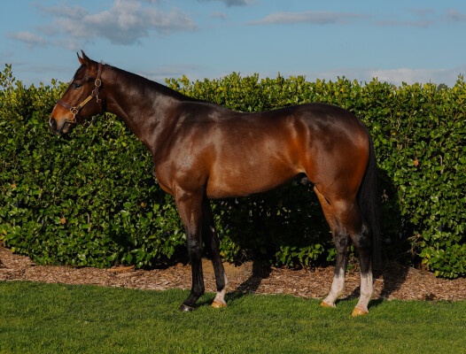 Lot 32: The Autumn Sun / Hole in Ten