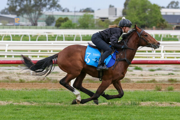 Lot 79: Yes Yes Yes / Moreau