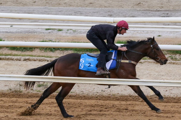 Lot 69: King's Legacy / Metza