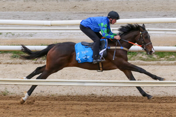 Lot 73: Rich Enuff / Miss Josephine