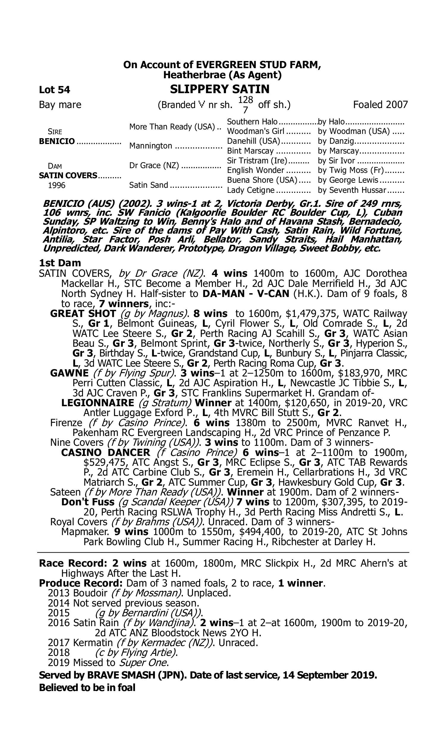 Pedigree for Lot 54 Benicio - Satin Covers