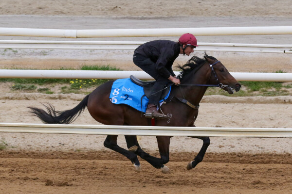 Lot 86: Harry Angel (IRE) / Nurture