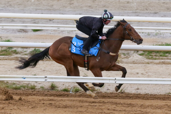 Lot 93: Pierro / Pass the Parcel