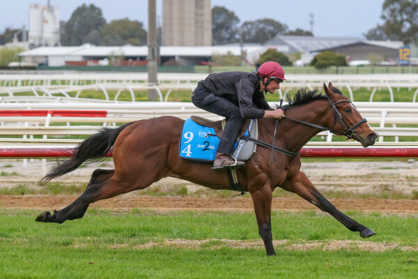 Lot 94: Rubick / Passport to Fun