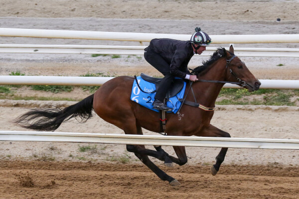 Lot 106: Stay Inside / Prosecution