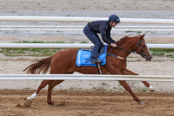 Lot 112: All Too Hard / Real Lust