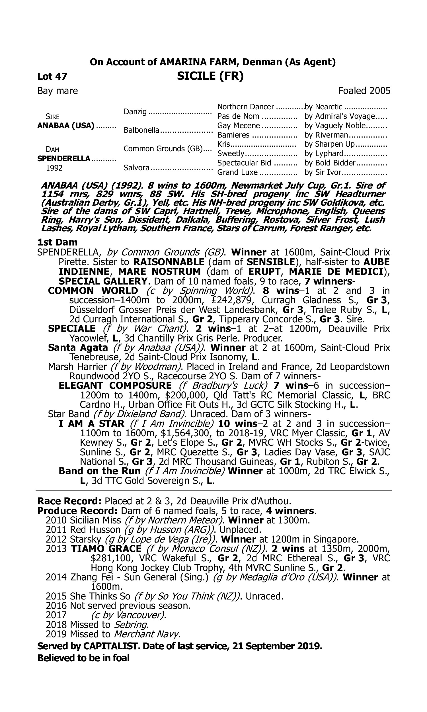 Pedigree for Lot 47 Anabaa (USA) - Spenderella (FR)