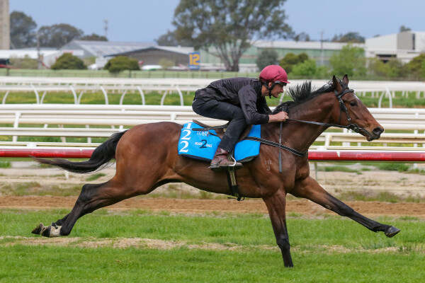 Lot 122: Hanseatic / Scarlet Charge