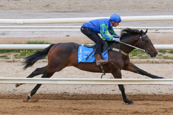 Lot 129: Written Tycoon / She'll be Apples