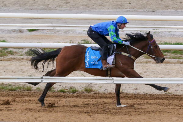 Lot 133: Ghaiyyath (IRE) / Snitzel's Moon