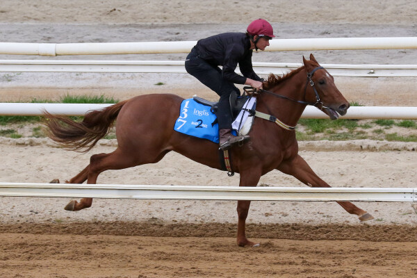 Lot 137: Hanseatic / Sound Lyric