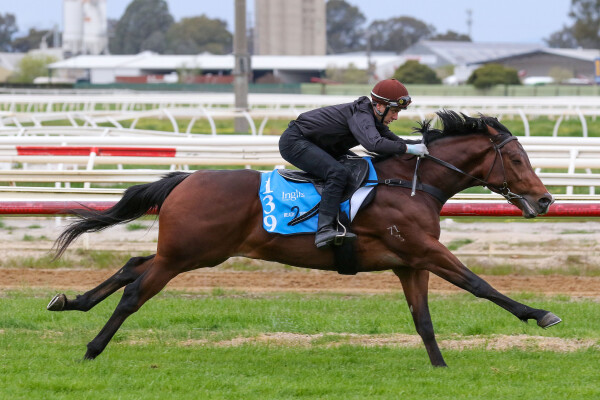 Lot 139: Toronado (IRE) / Stage Princess