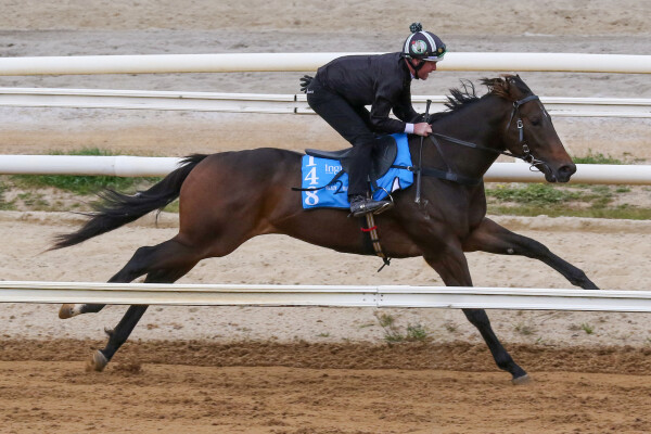 Lot 148: Written By / Treasure