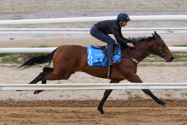 Lot 160: Hanseatic / Volcanic Eruption